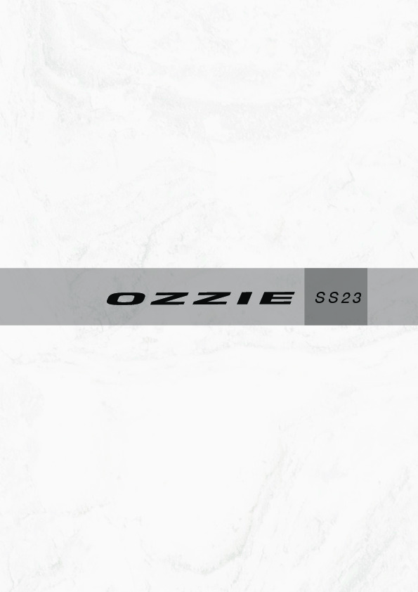 2023_OZZIE SUN overview.pdf